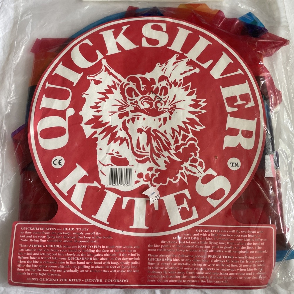 Vintage Quicksilver 25' Dragon Kite Rainbow Kite 1993